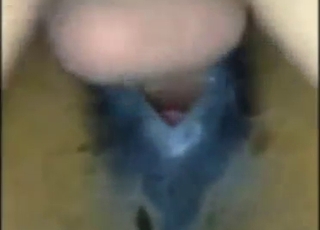 Zoophile porn with a dynamic mare cunt super-fuck