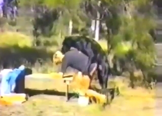 Hot lady is going to get fucked by dog from behind