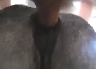 Checking out that mare pussy to get off hard