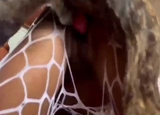 Zoo XXX with a bodysuit babe fucking a mutt