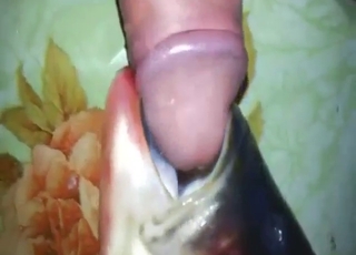 Fish throat fuck with a sexy-looking beast