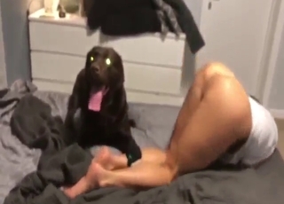 You would never believe how she gets fucked