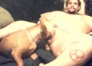 Big Beautiful Man gets his dick sucked by dog