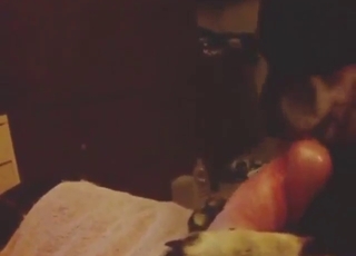 Guy shows off his dick and lets the dog lick