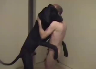 Zoo XXX with a bald fucker who needs dog dicks