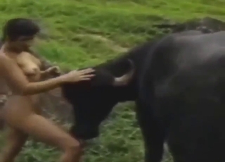 Zoo XXX with a hot brunette who gets licked