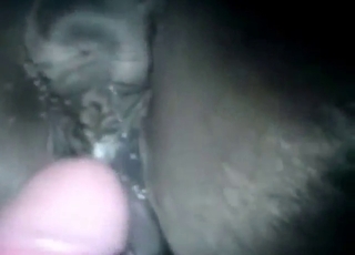 Mare fuck movie with a guy who gets so freaky