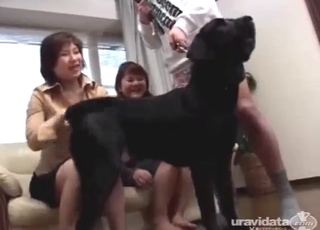 Zoo porn from Japan gets pretty damn taboo