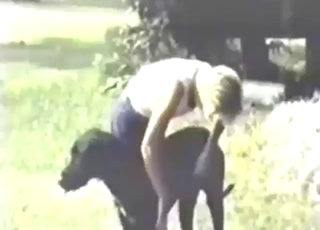 Latest zoo porn from Denmark, deep dicking