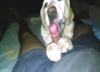 Dog is on ANOTHER LEVEL with cock sucking