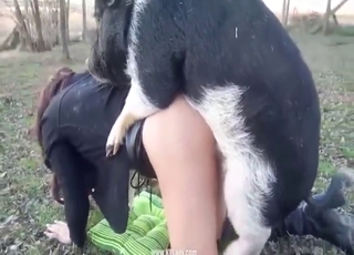 Tits covered, pussy exposed, sexy pig inside