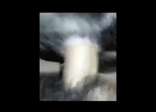 Asian guy is training his animal fucking skillz