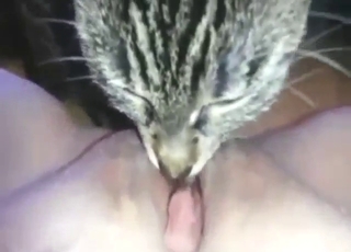 Girl with no panties gets licked by a sexy cat