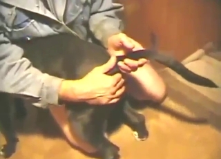 Impressive dog and dude fucking with GAPE