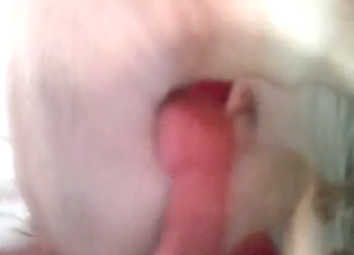 That dude goes berserker mode on a dog's cunt