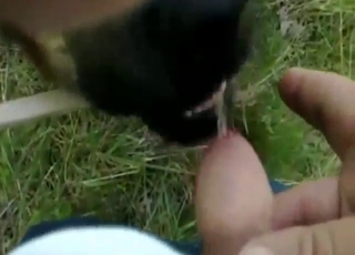 Hot pleasure with a dog that licks nice dick