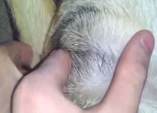 Zoo porn shows wild fingering, hot orgasms