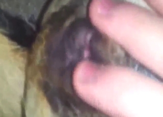 Zoo porn shows wild fingering, hot orgasms