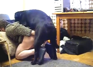 Home fuck movie with a black dog dicking deep