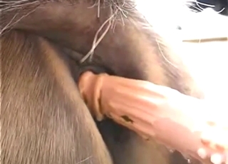 Fingering and mare fucking from a horny dude