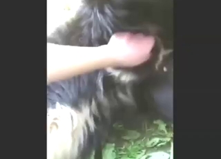 Outdoor HJ from a nice-looking zoophile hand