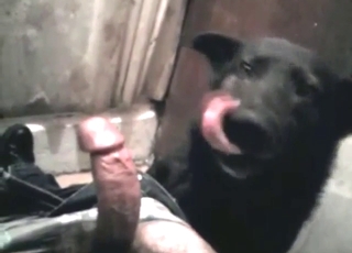 Black dog serving up great BJ energy in this one