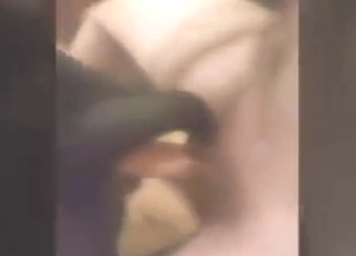 Der riesige Penis des Kerls wird für die Hündin genutzt, ein wahres Symbol für tierische Begierde.