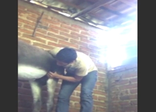 Donkey cocksucker wants his ass fucked too