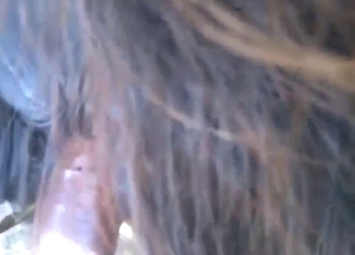 Outdoor mare fuck scene with a slutty horse