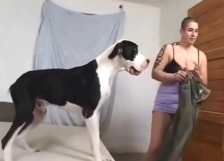 Mladá MILF nechá osedlat velkým psím koksem, který jí plní dělohu horkým semenným balíčkem