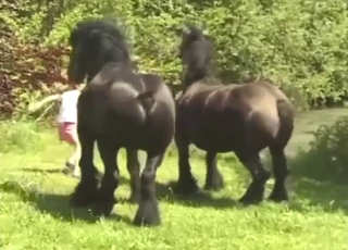 Taboo foreplay with black stallion that gets hard