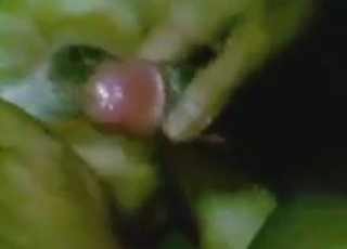 Dog fucking on the floor with sweaty close-ups