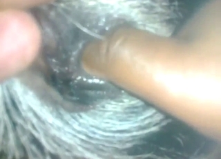 His big dick pushes against goat's eager hole