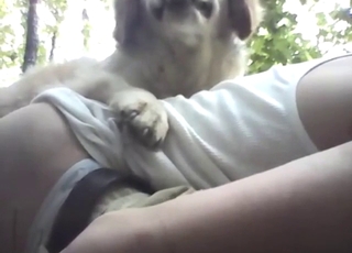 Film di sesso con cane all'aperto, un ragazzo che penetra in fondo