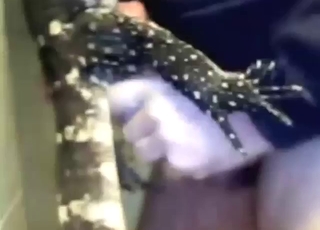 Big dick zoophile fucking that lizard deeper