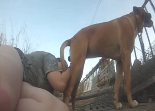 Doggystyle fuck with a brown dog outdoors