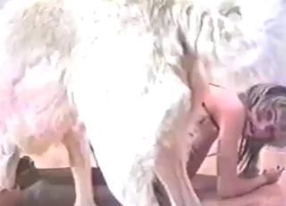 Bestiality porn mostra garota de lingerie preta com cachorro