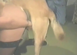 Zoo sex with a blonde lady in black stockings
