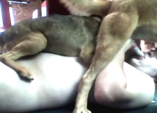 Pale dude with a hard peen wants a dog on cock