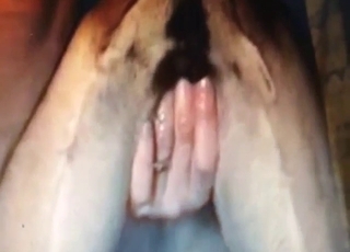 Guy with a nice-looking penis fucks a Great Dane