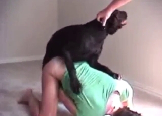 Guy watches his wife fuck the family pet hard