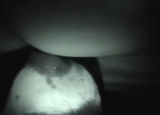 Nighttime oral with a sexy dog that gets crazy