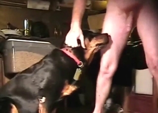 Zoo XXX with a black dog that takes nice dick