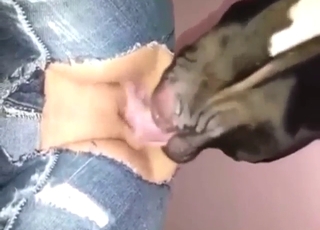 Mutt licks and fucks a girl's hole from behind