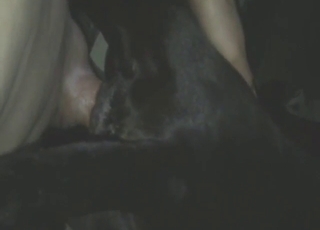 Dude using his huge cock to fuck a Doberman