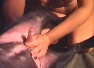 Sucking brunette babe shows what she can dog