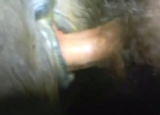 Guy is happy to fuck a pony with his mighty cock