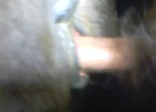 Guy is happy to fuck a pony with his mighty cock