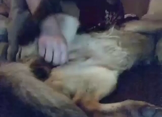 Casual fingering session with the dog MOANING