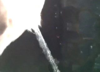 Piss fetish porn movie with a slutty doggo